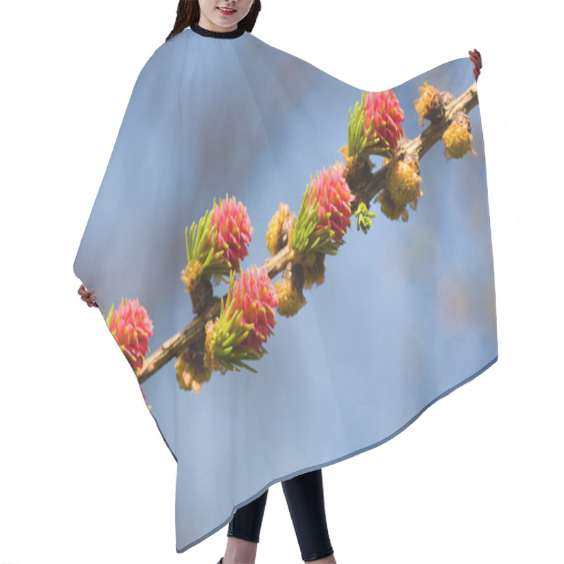 Personality  Spring Diagonal Hair Cutting Cape