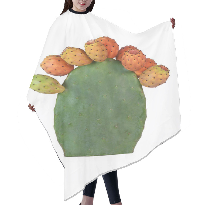 Personality  Many Ripe Prickly Pear Fruit On A Green Cactus Isolated With A White Background. Hair Cutting Cape