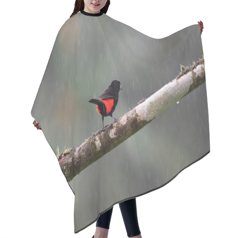 Personality  Black And Red Tiny Bird In The Rain Hair Cutting Cape