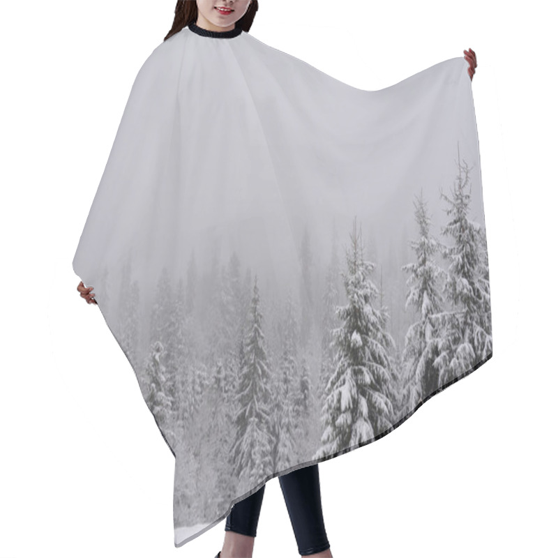 Personality  A Beautiful Shot Of The Thick Forest In Winter Hair Cutting Cape