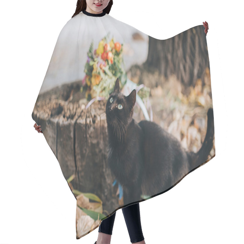 Personality  Black Cat Near Wedding Bouquet  Hair Cutting Cape