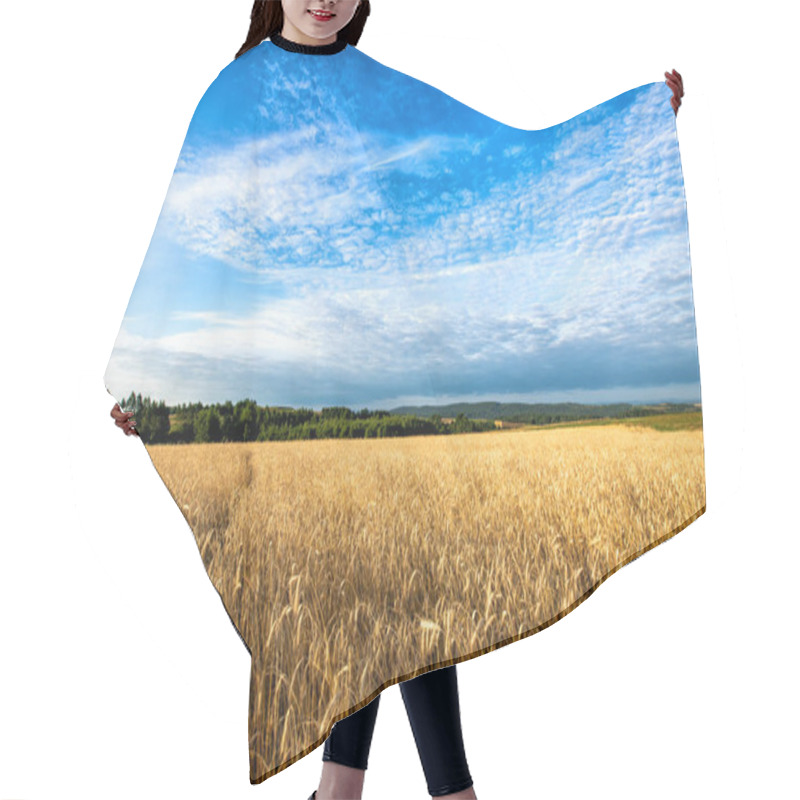 Personality  Beautiful Cloudy Sky Over Summer Fields Hair Cutting Cape