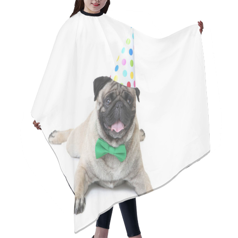 Personality  Pug Dog With Bow Tie And Birthday Cap On White Background Hair Cutting Cape