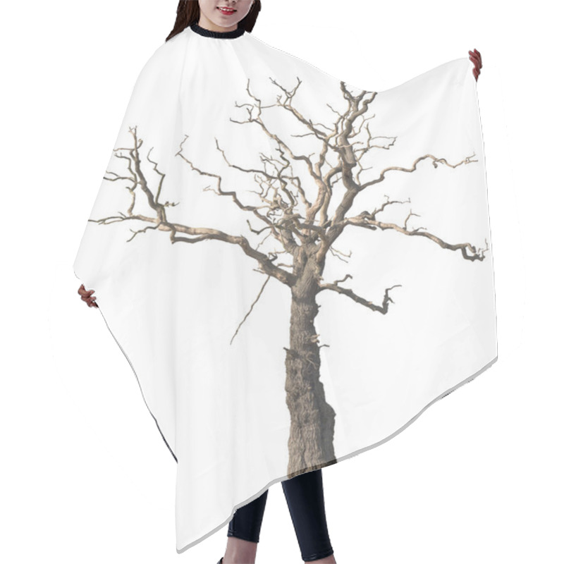 Personality  Dead Tree Isolated On White Background Hair Cutting Cape