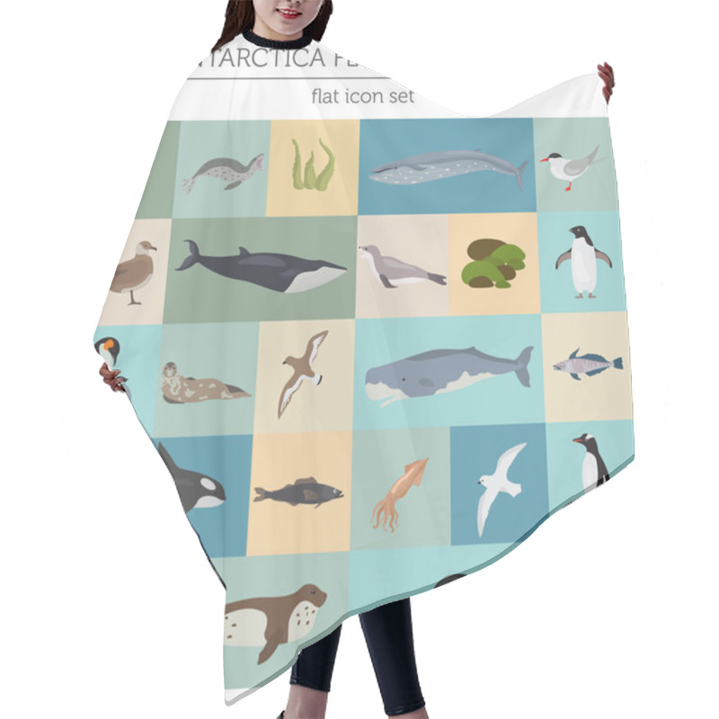 Personality  Antarctic, Antarctica,  Flora And Fauna Map, Flat Elements. Anim Hair Cutting Cape