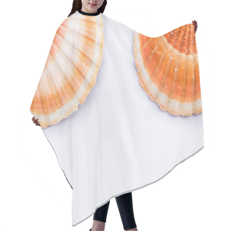 Personality  Sea Themed Simple Composition: Sea Shells And Copy Space For Tex Hair Cutting Cape