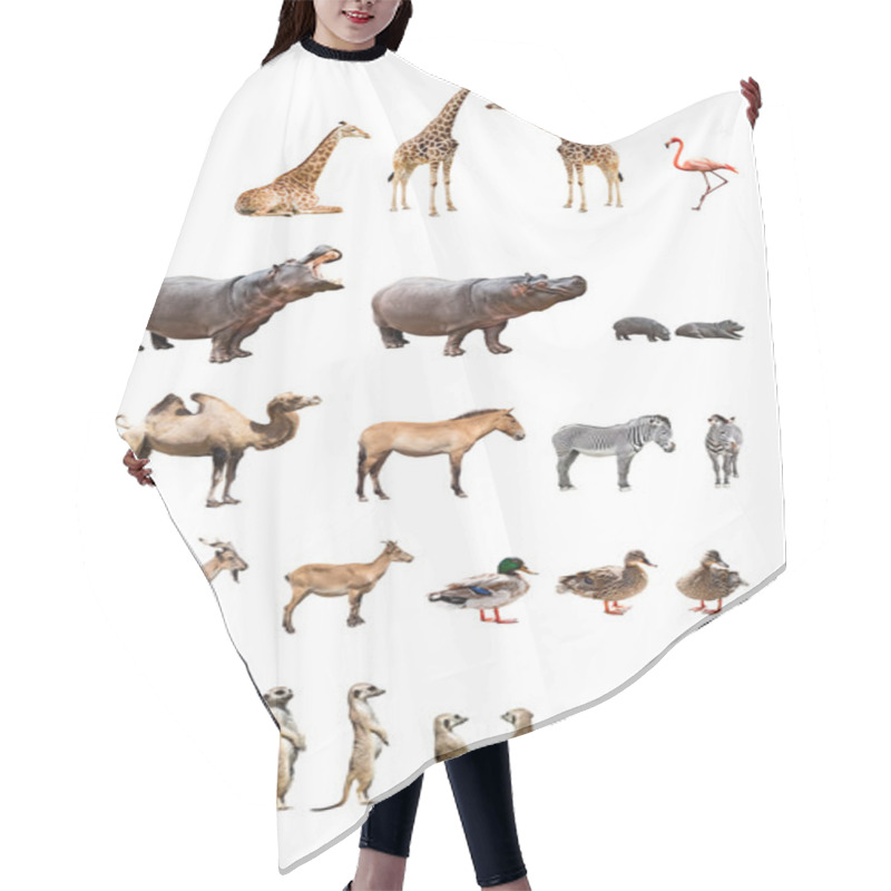 Personality  Zoo Animals Hair Cutting Cape