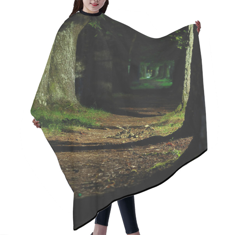 Personality  Forest Road In Autumn Hair Cutting Cape