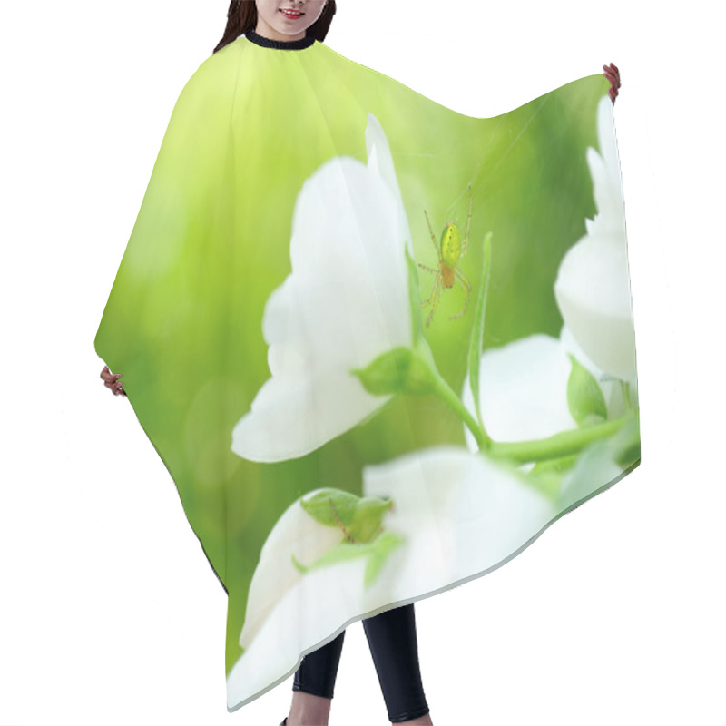 Personality  Green Spider On Jasmine Flower Hair Cutting Cape