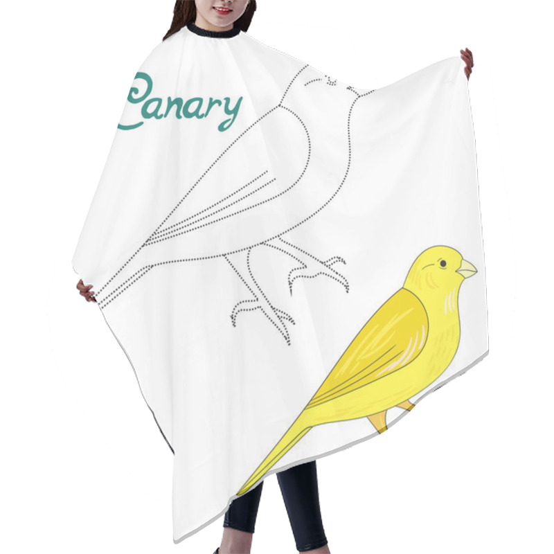 Personality  Educational Game Connect Dots To Draw Canary Bird Hair Cutting Cape