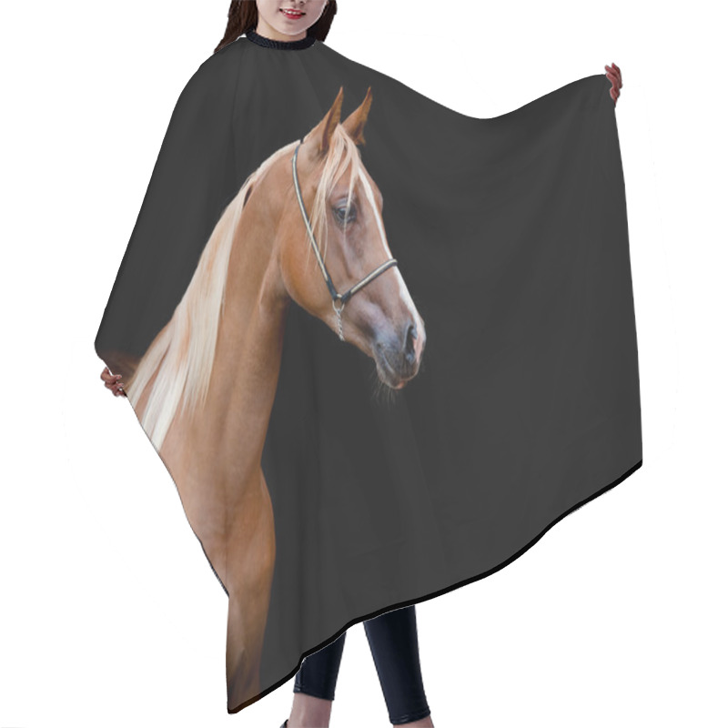 Personality  Horse Head Hair Cutting Cape