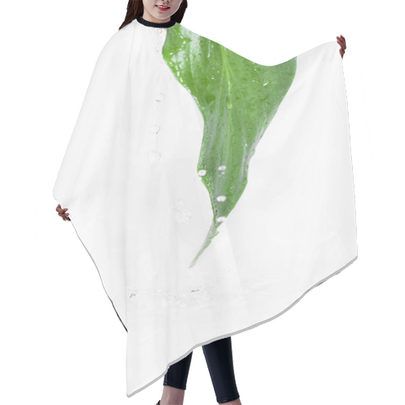 Personality  Fresh Grean Leaf With Water Drops Hair Cutting Cape