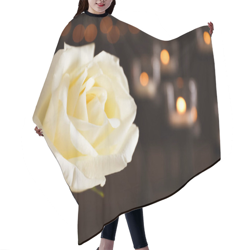 Personality  White Rose And Blurred Burning Candles On Background, Space For Text. Funeral Symbol Hair Cutting Cape