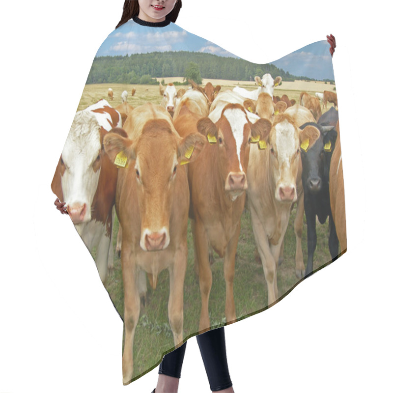 Personality  Herd Of Cows Hair Cutting Cape