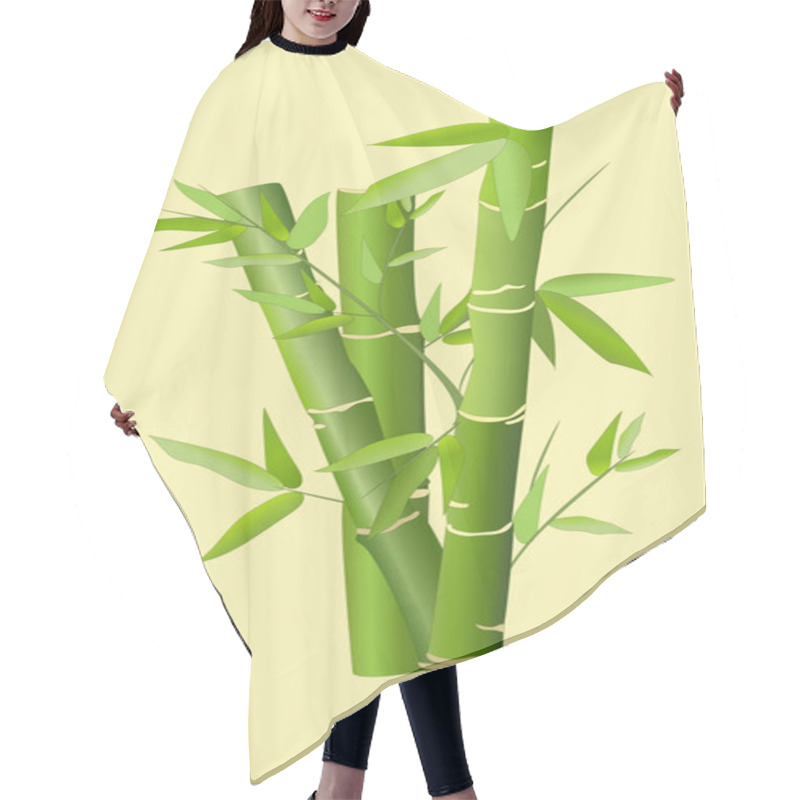 Personality  Bamboo Stems In A Flat Style, Icon. Vector Illustration, Realism. Tropical Asian Nature. Hair Cutting Cape