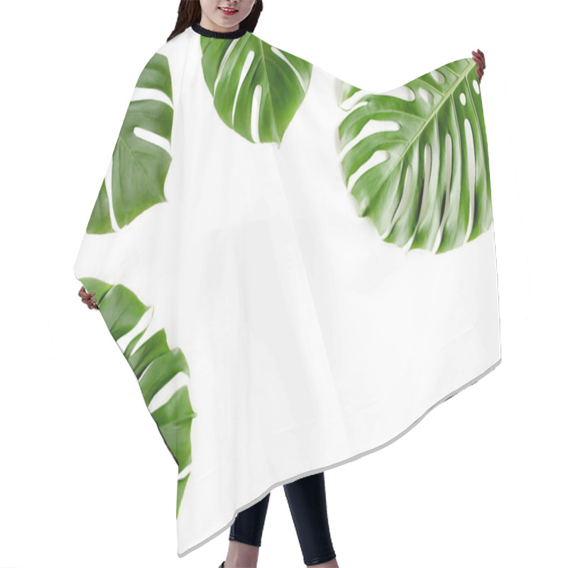 Personality  Tropical Palm Leaves Monstera On White Background. Flat Lay, Top View. Hair Cutting Cape