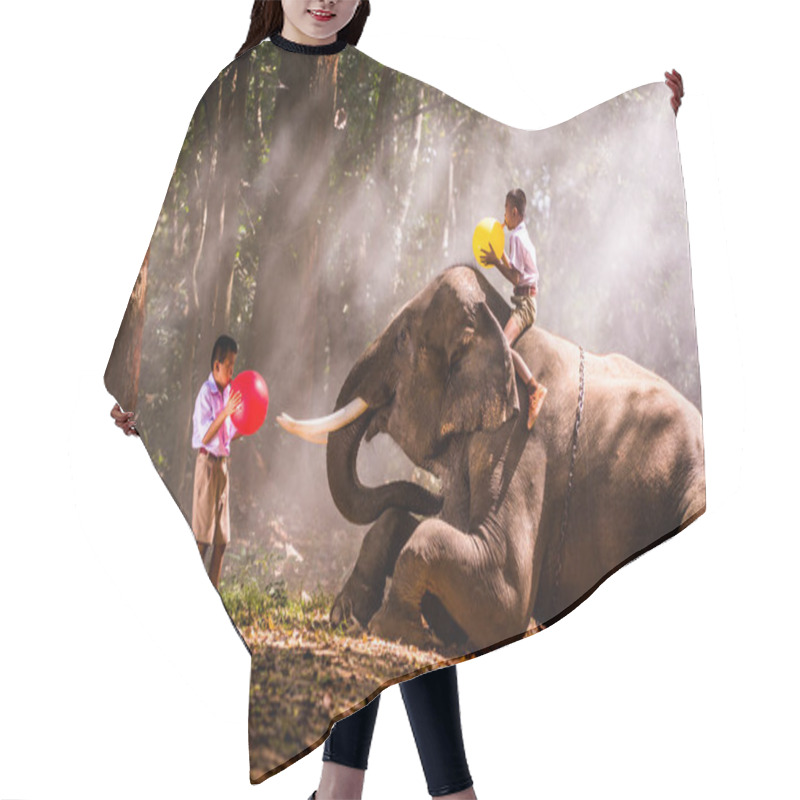 Personality  Elephant And School Boy In Thailand Hair Cutting Cape