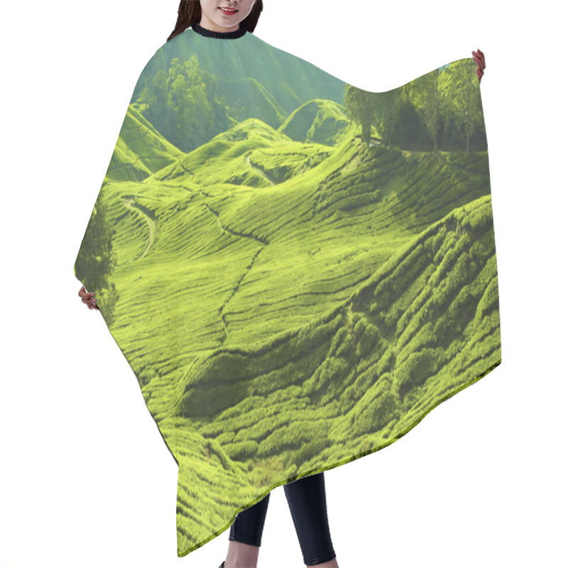 Personality  Tea Farm Hair Cutting Cape