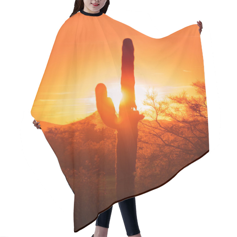 Personality  Desert Sunset Hair Cutting Cape