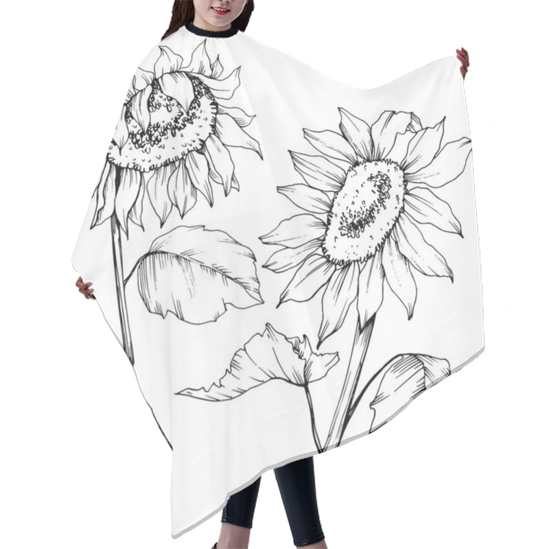 Personality  Vector Sunflower Floral Botanical Flowers. Black And White Engraved Ink Art. Isolated Sunflower Illustration Element. Hair Cutting Cape