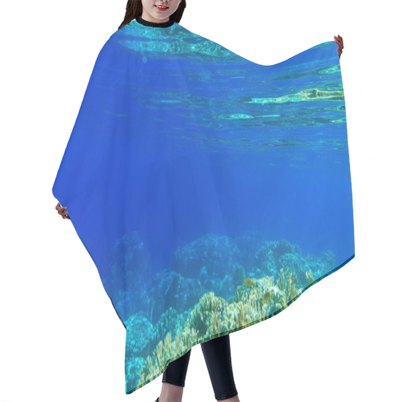 Personality  Tranquil Underwater Scene Hair Cutting Cape