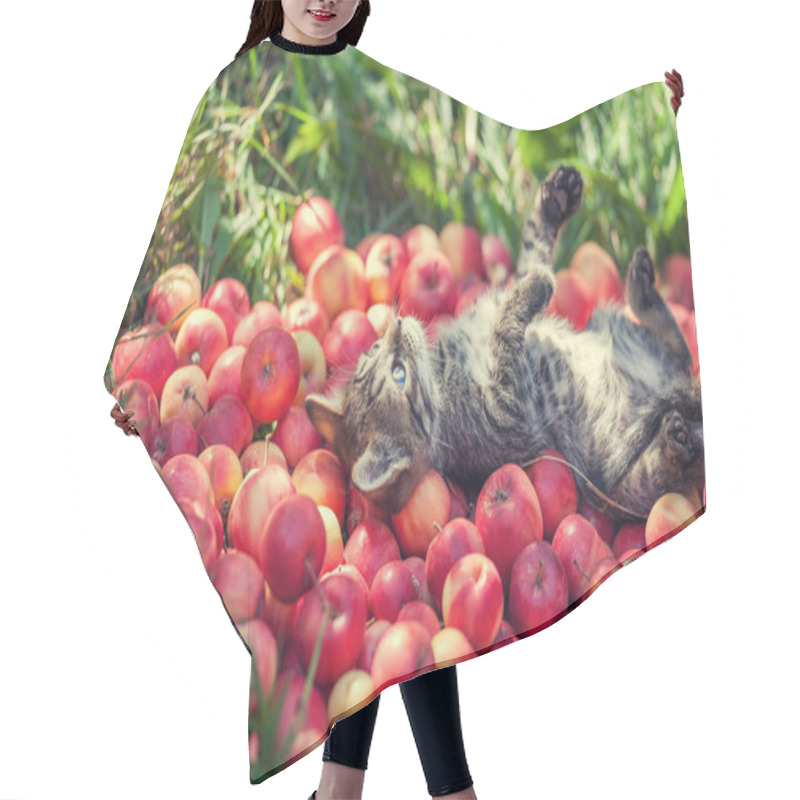 Personality  Kitten Lying On The Red Apples Hair Cutting Cape