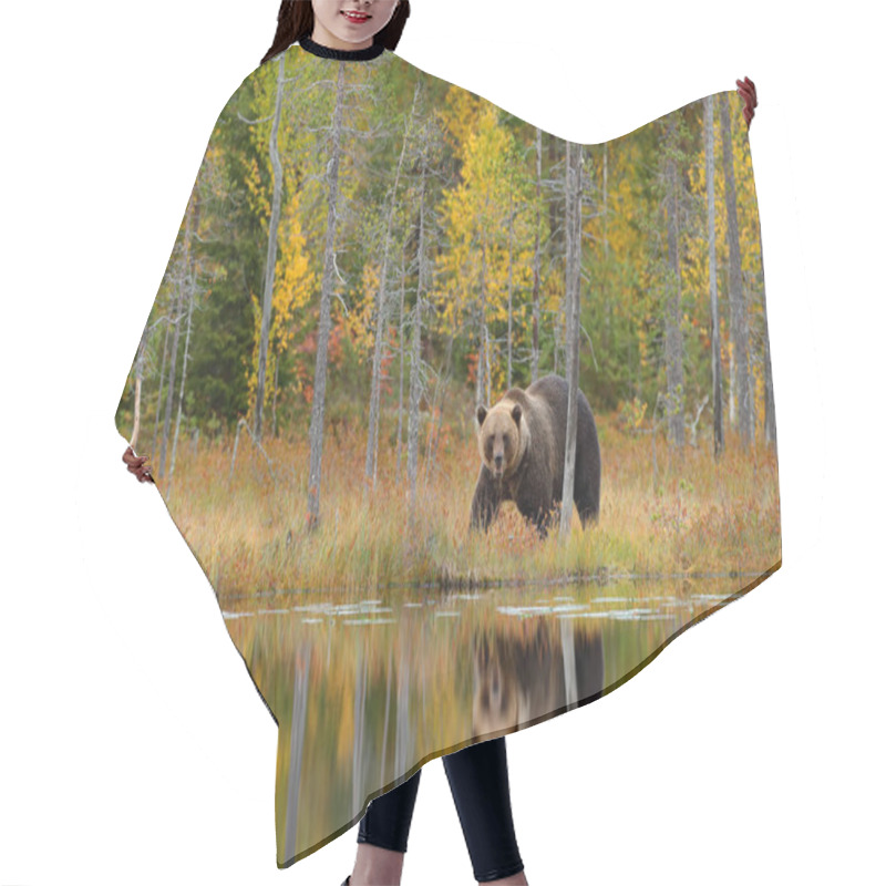 Personality  Bear Hidden In Yellow Forest Hair Cutting Cape