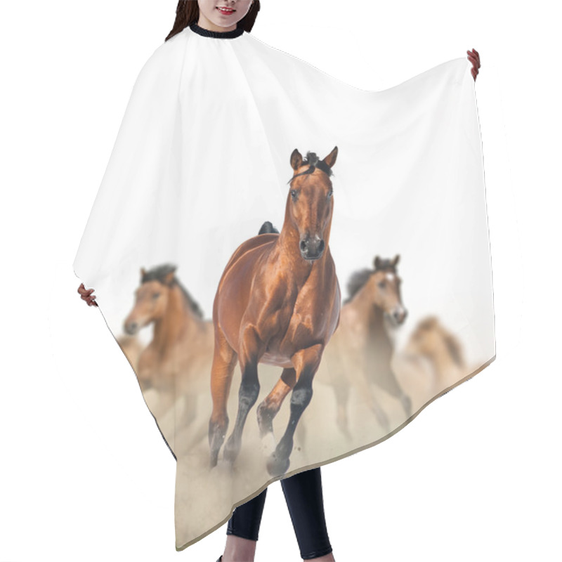 Personality  Horses Running In The Dust Hair Cutting Cape