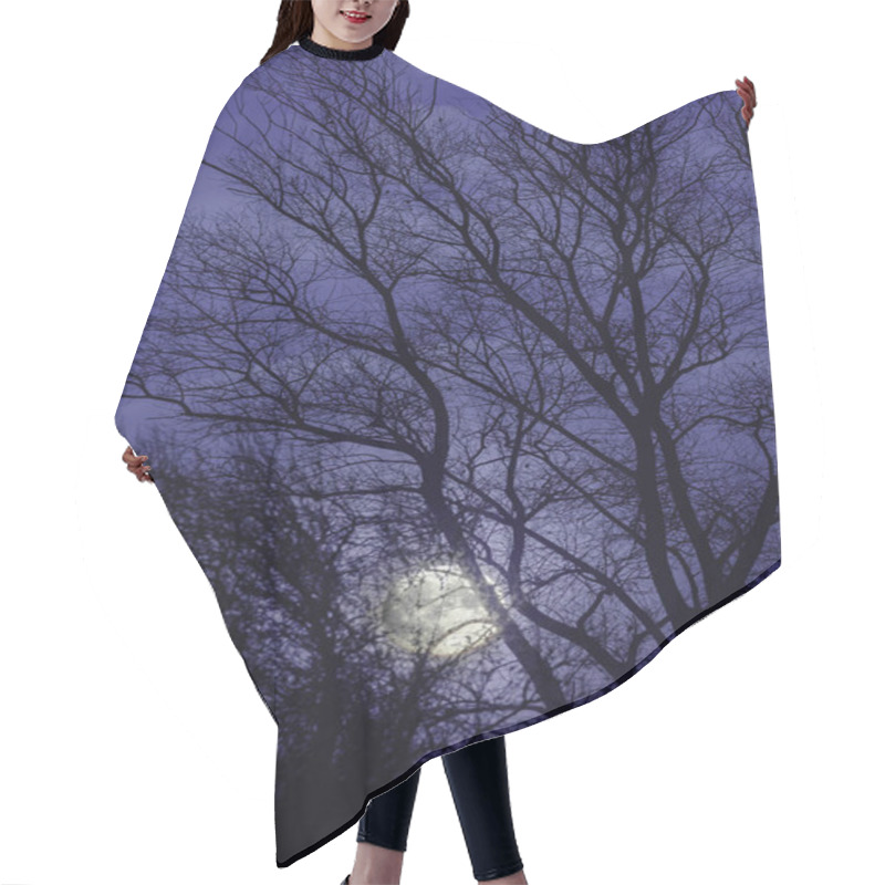 Personality  Moon And Moonlight Shining Through The Bare Winter Trees With A Dark Night Blue Sky Hair Cutting Cape