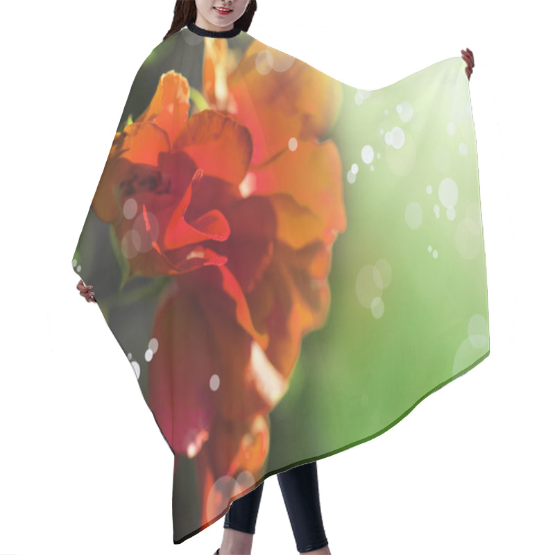 Personality  Red Pink Flowers Hair Cutting Cape