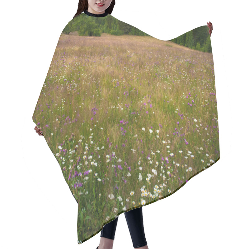 Personality  Flowering Daisies On A Meadow In The Summer. Field Flowers Bloom Hair Cutting Cape