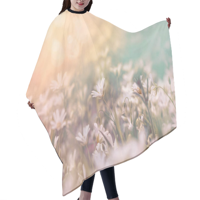 Personality  Flowering White Flower In Meadow - Beautiful Nature Hair Cutting Cape