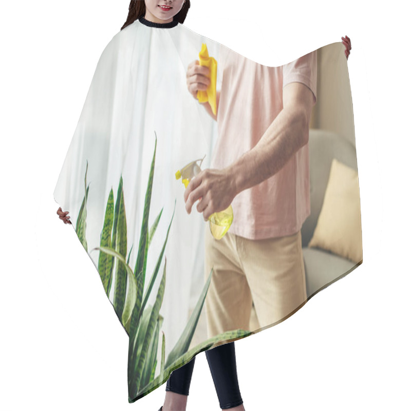 Personality  Handsome Man In Cozy Homewear Delicately Cleaning Houseplant With Yellow Sponge. Hair Cutting Cape