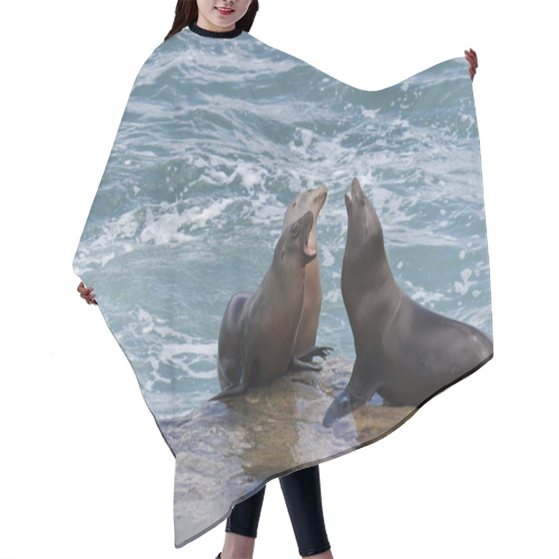 Personality  California Sea Lions Hair Cutting Cape