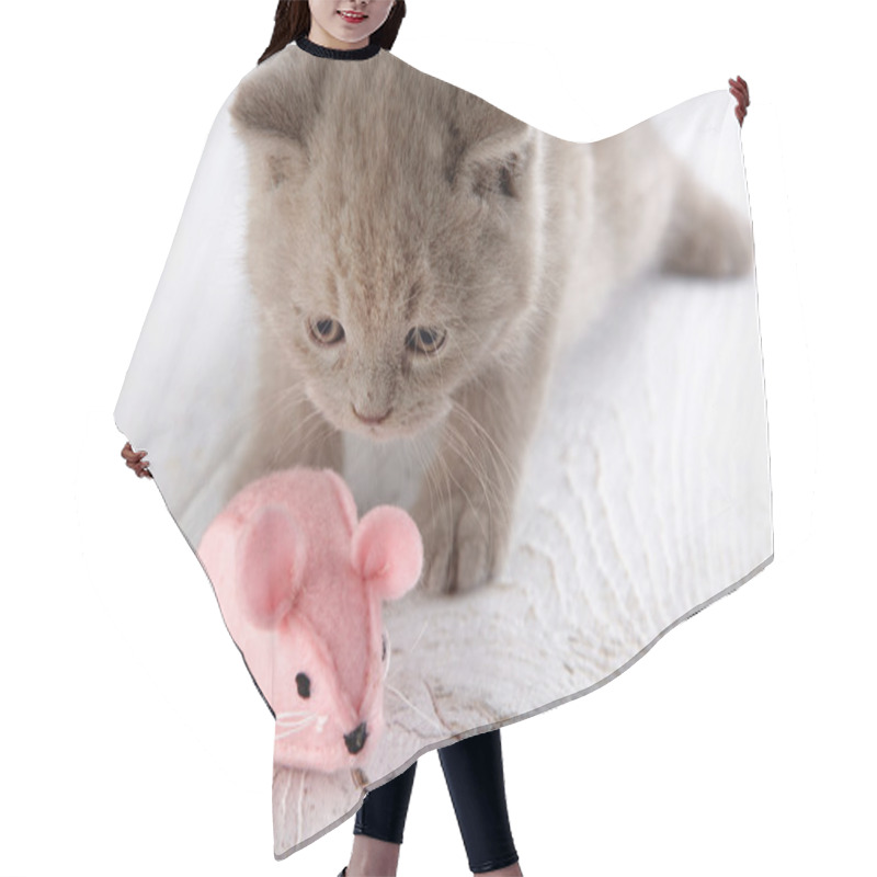 Personality  Kitten And Pink Mouse Hair Cutting Cape