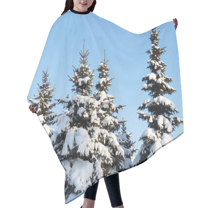 Personality  Winter Fir-trees Hair Cutting Cape