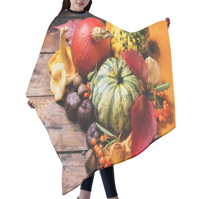 Personality  Pumpkins, Nuts And Berries Hair Cutting Cape