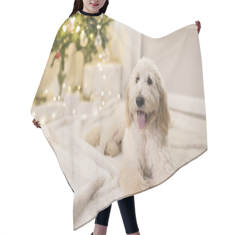 Personality  Happy Dog Laying Down In Front Of Christmas Tree Hair Cutting Cape