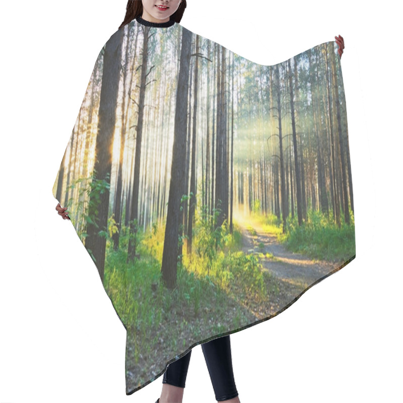 Personality  Sunset In The Woods Hair Cutting Cape