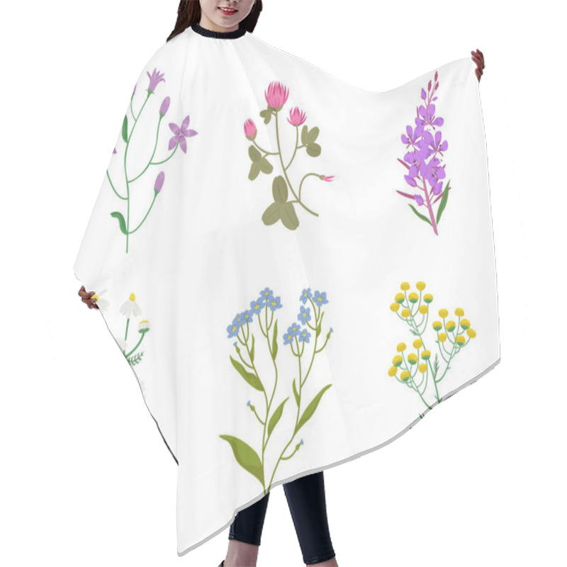 Personality  Set Of Different Wildflowers. Beautiful Flower Twigs In Cartoon Style. Hair Cutting Cape