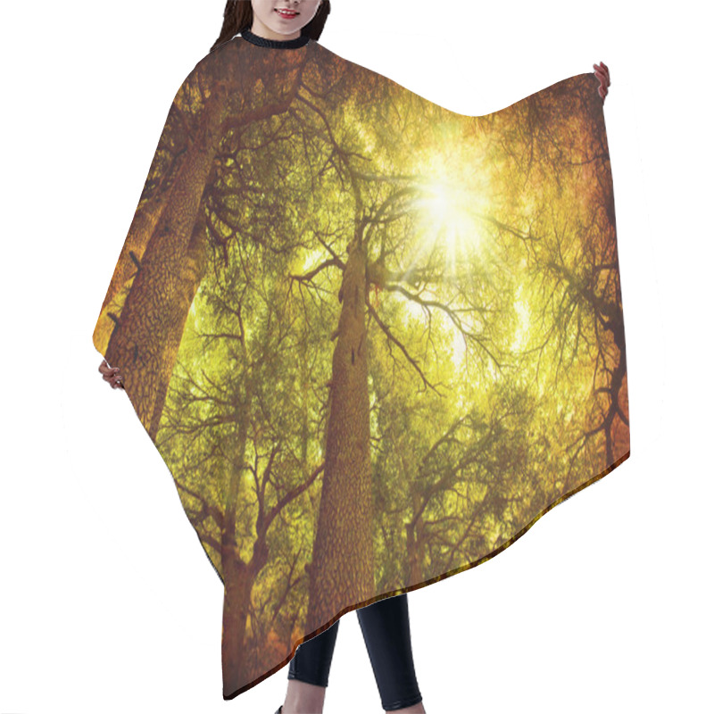 Personality  Cedar Tree Forest Hair Cutting Cape