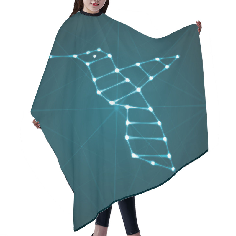 Personality  Abstract Hummingbird Illustration Hair Cutting Cape