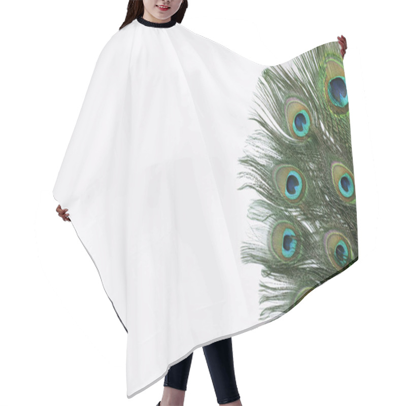 Personality  Beautiful Bright Peacock Feathers On White Background Hair Cutting Cape