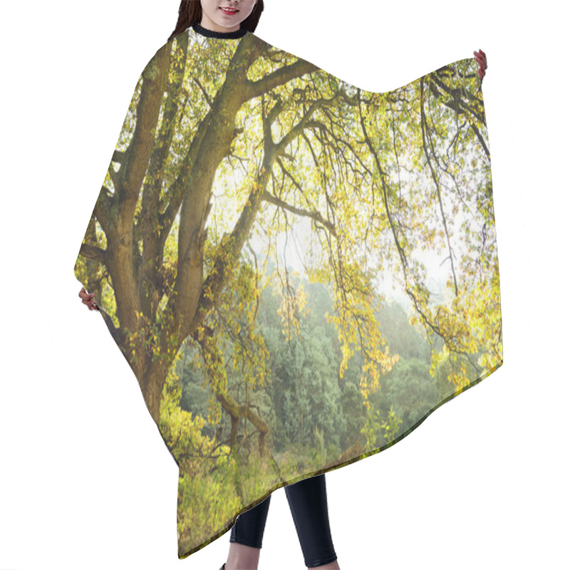 Personality  Oak Tree And Meadow Hair Cutting Cape