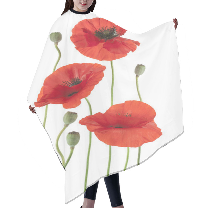 Personality  Poppy Hair Cutting Cape