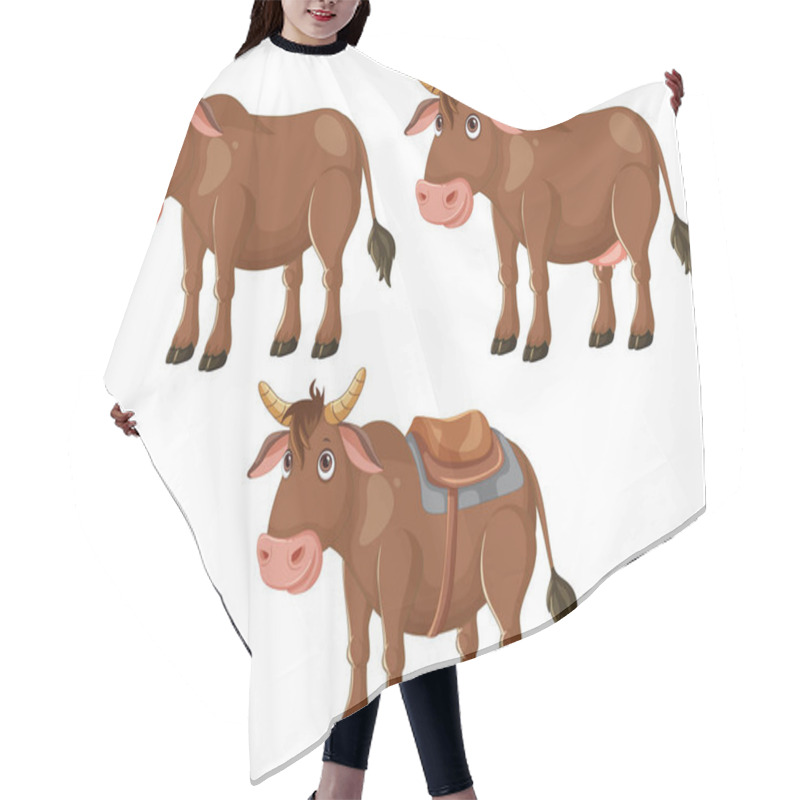 Personality  Three Cows, One With A Saddle Hair Cutting Cape