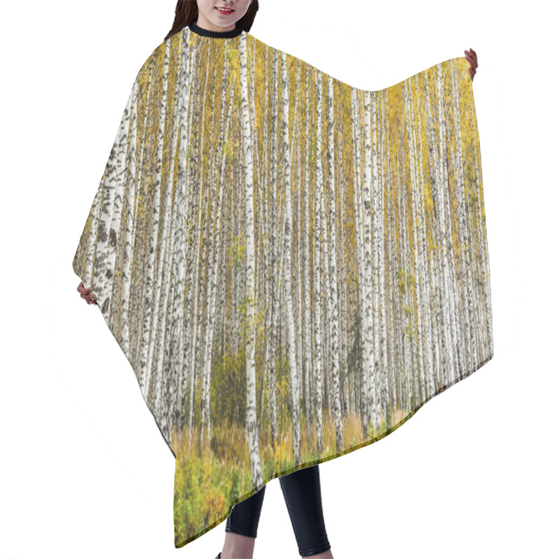 Personality  Early Autumn Birch Grove Hair Cutting Cape