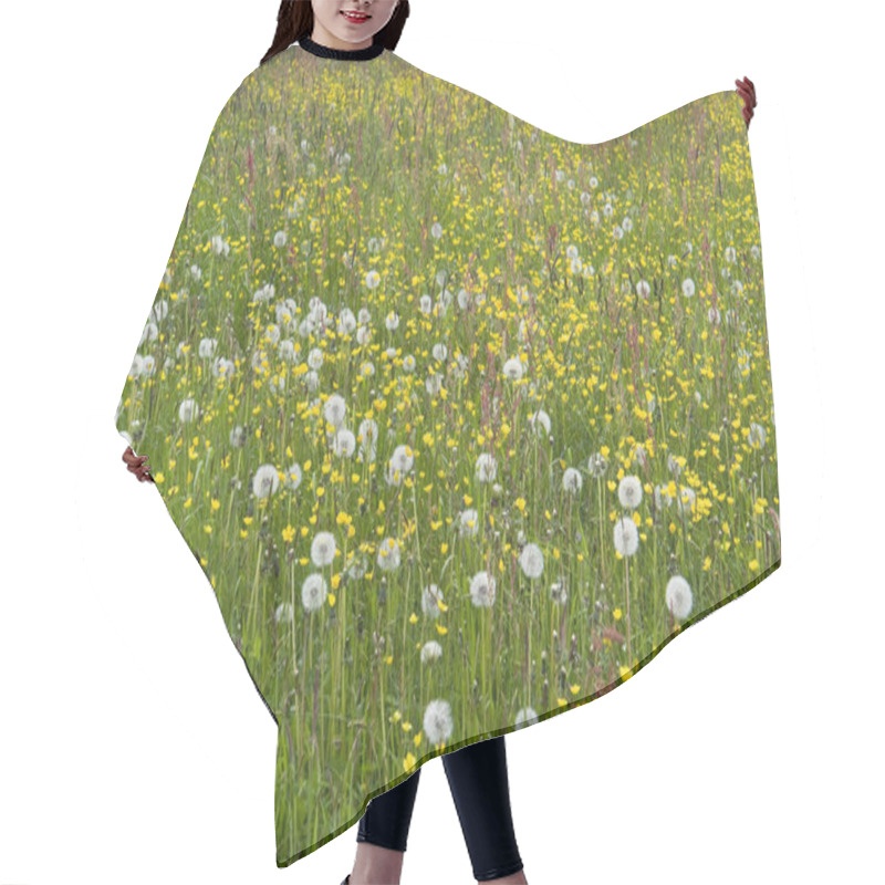 Personality  Detail Of A Flowering Meadow With Lots Of Various Herbs And Flowers In Sunny Ambiance Hair Cutting Cape