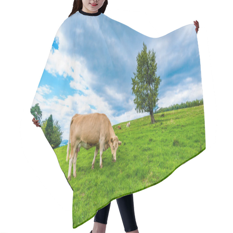 Personality  Cows On A Mountain Meadow, Pieniny, Poland Hair Cutting Cape