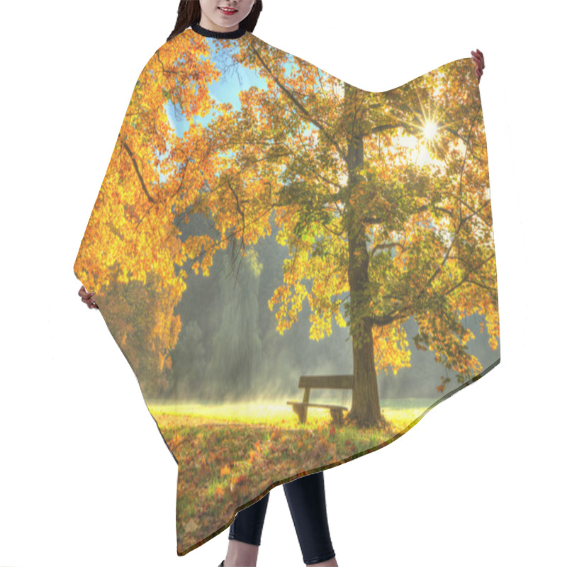 Personality  Beautiful Autumn Tree With Fallen Dry Leaves Hair Cutting Cape